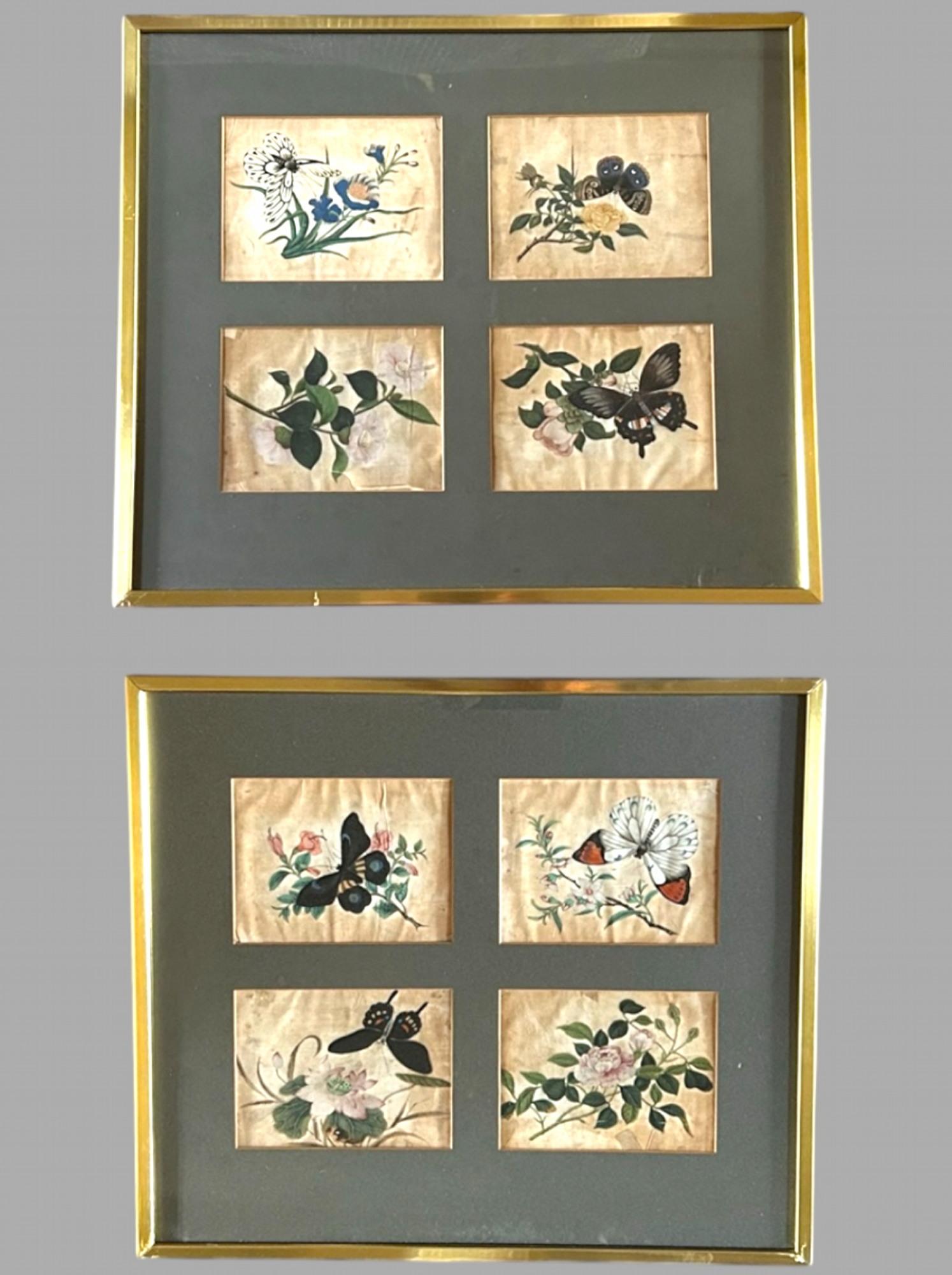 Pair of Highly Decorative 19th Century Pith Piper Butterflies & Flowers (8) (1 of 11) Pair of Highly Decorative 19th Century Pith Piper Butterflies & Flowers (8) (1 of 11)