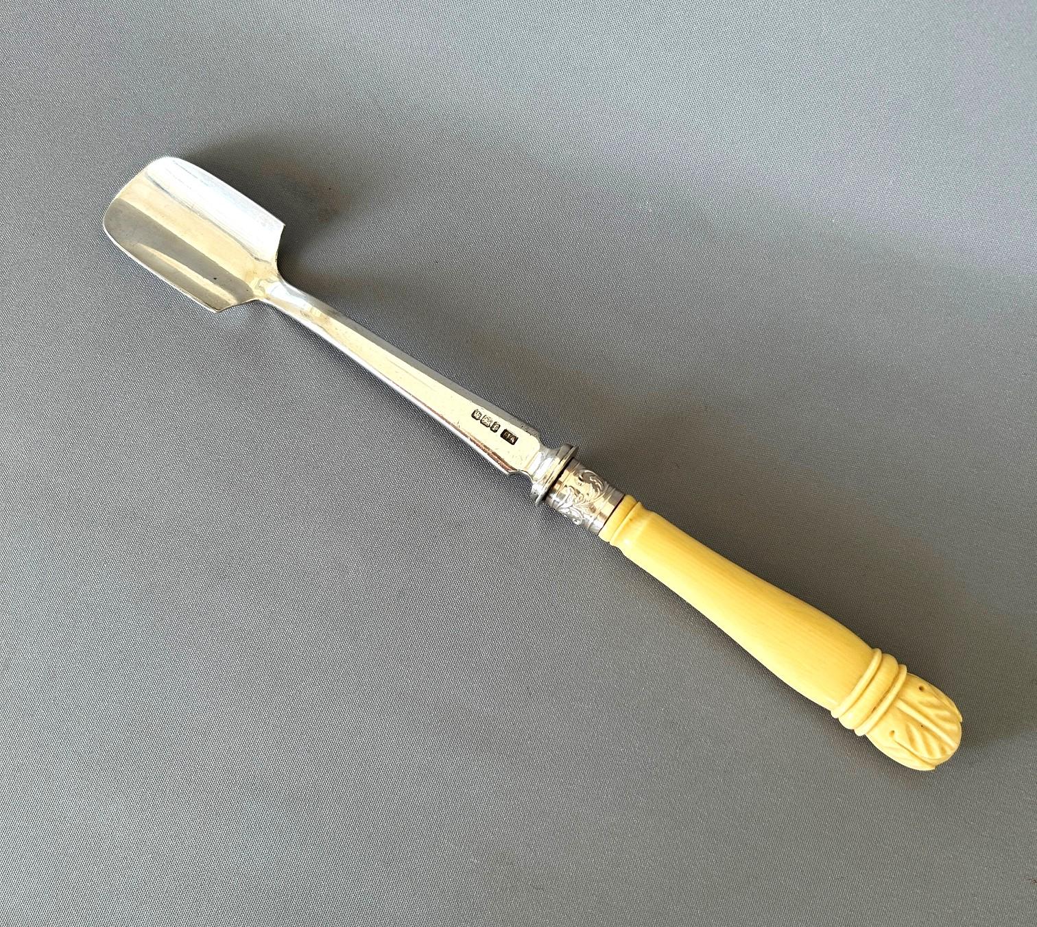 Superb Late Victorian Hallmarked Silver Stilton Scoop (1 of 5)