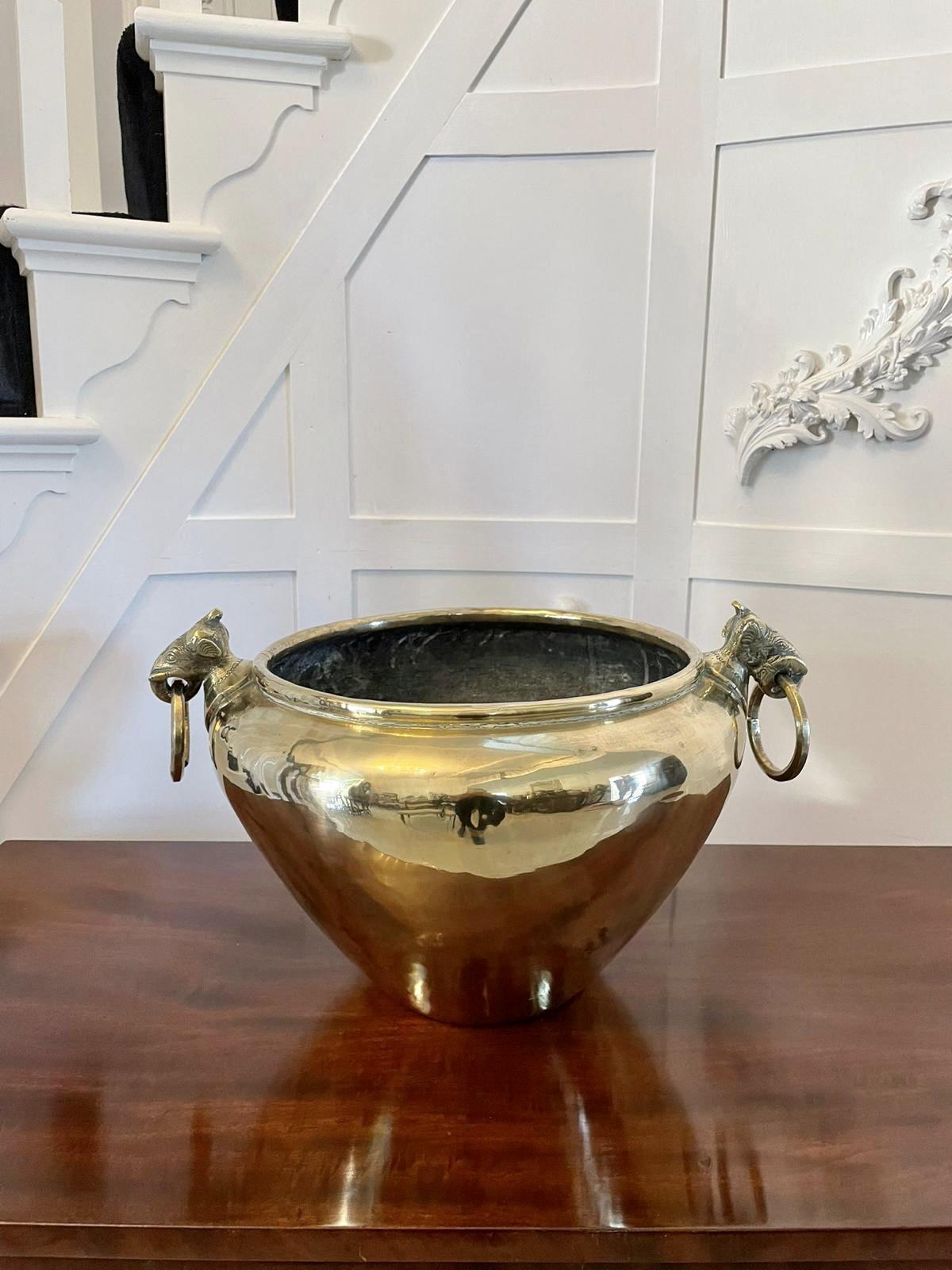 Item Main Image Item Main Image