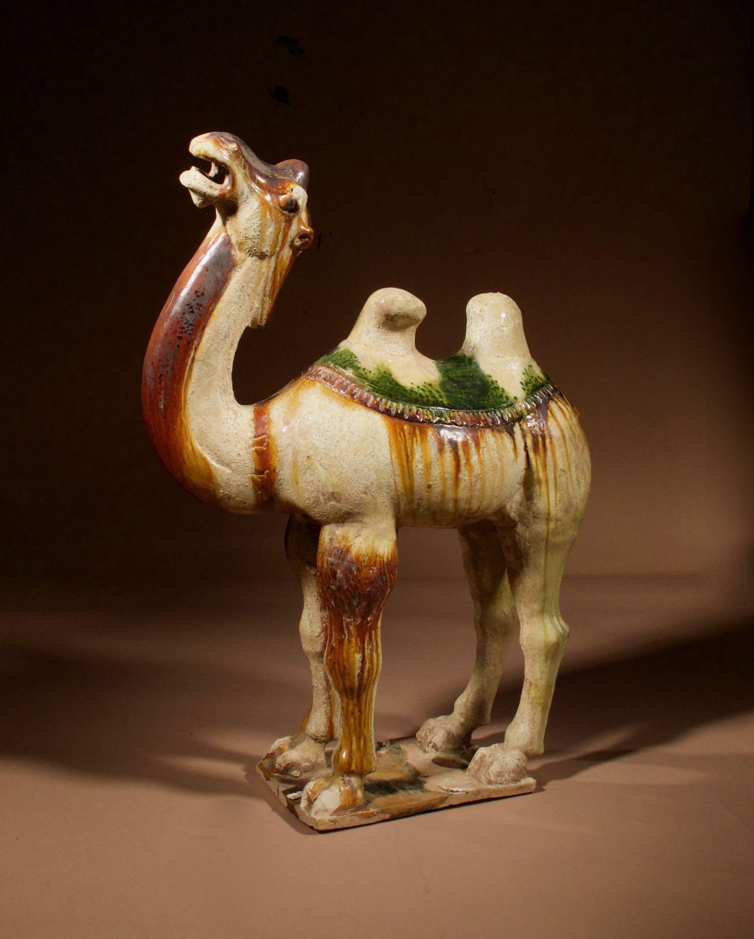 An original Beautiful Sancai glazed Tang camel, (1 of 10)