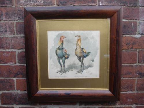 Watercolour Fighting Cocks by J W Ludlow 1897 (1 of 5)
