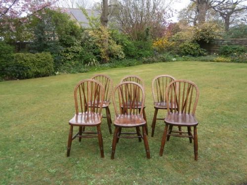 Antique Harlequin Set of Country 6 Elm Kitchen Chairs (1 of 1)