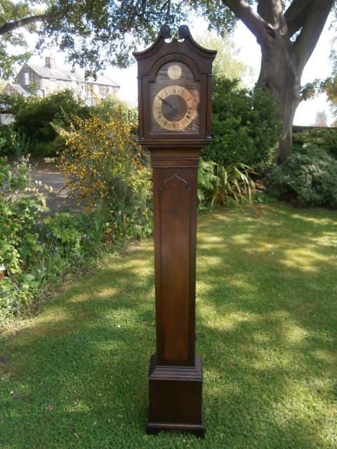 Antique Oak Grandaughter Clock Slim Proportions c.1901 (1 of 1)