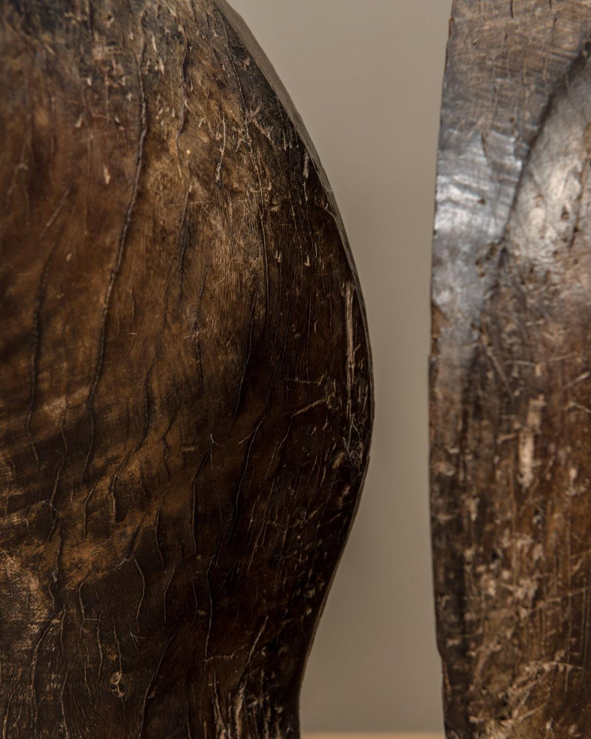 Camel saddle (1 of 8)