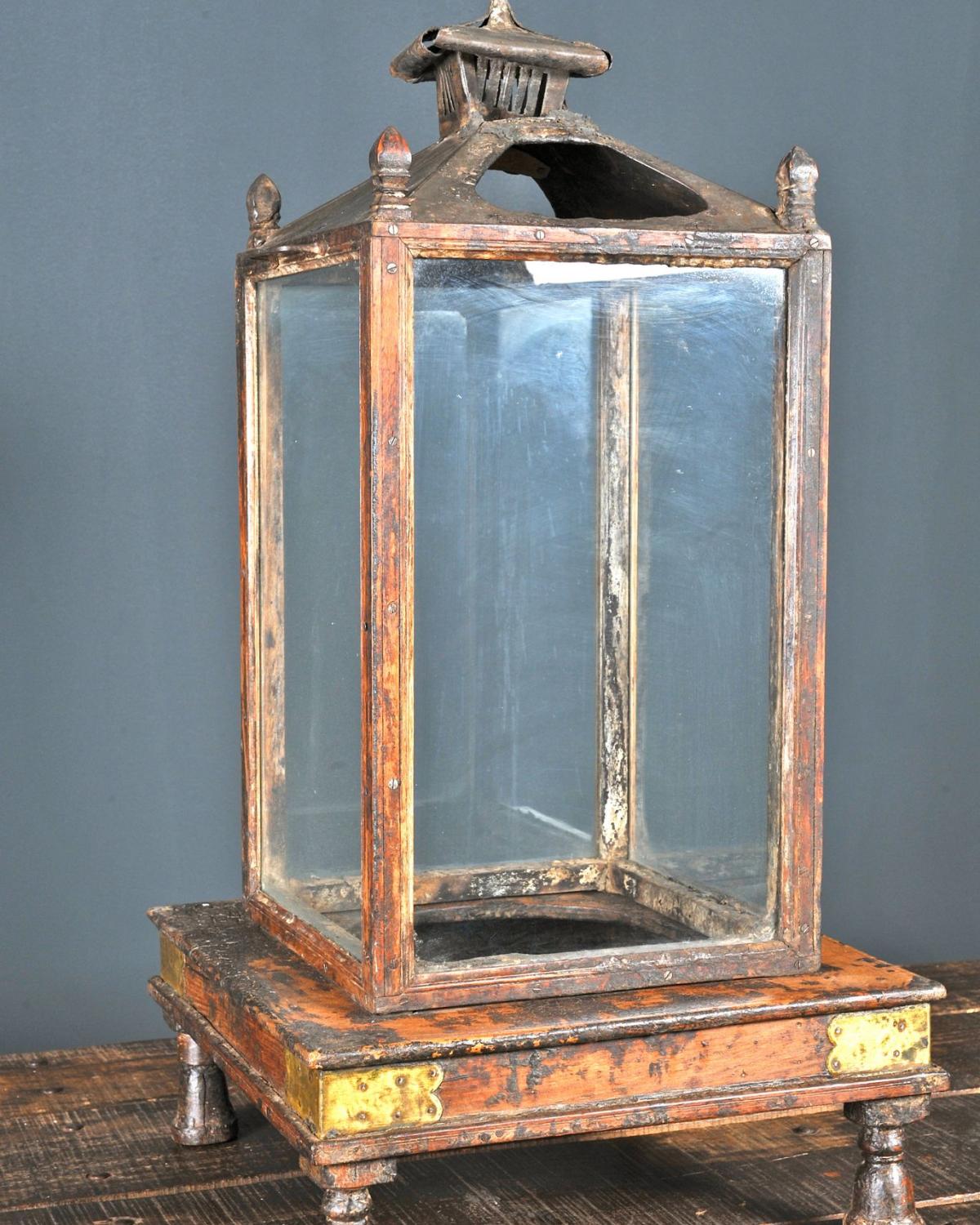 Indian lantern (1 of 1)