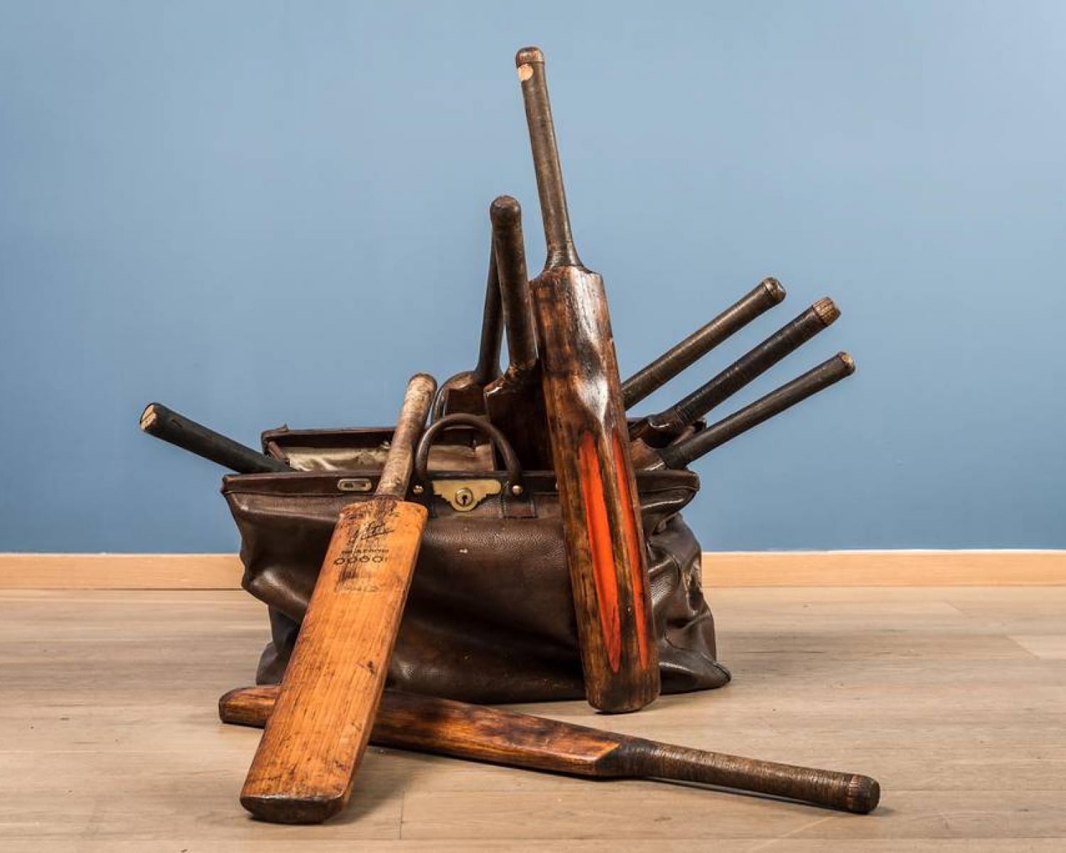 Cricket Bat (1 of 1)