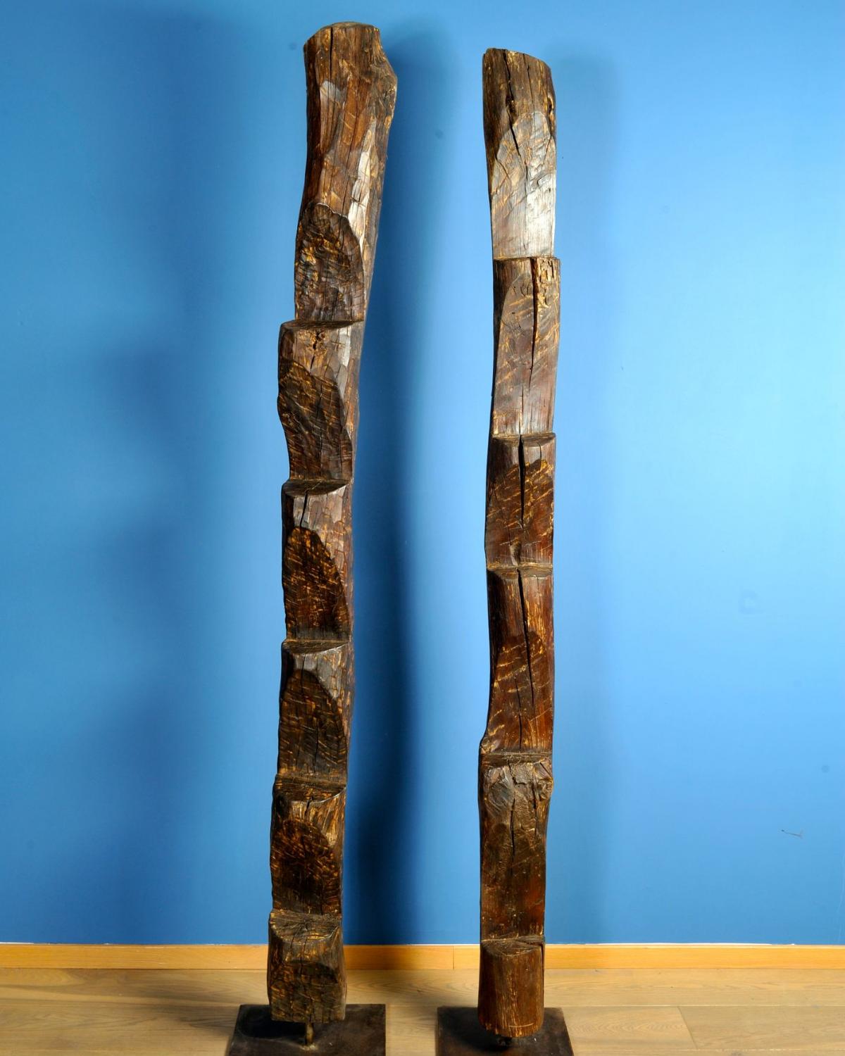 Naga Ladder from Nagaland (1 of 1)