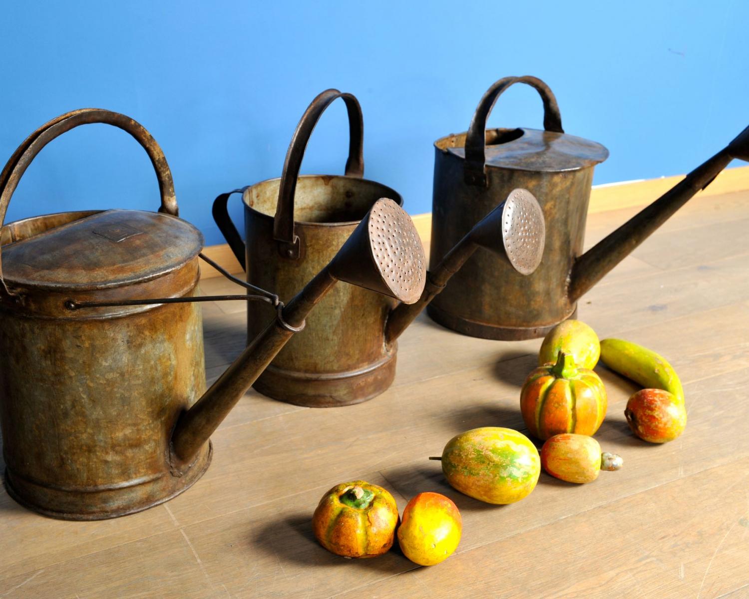 Watering can (1 of 1)