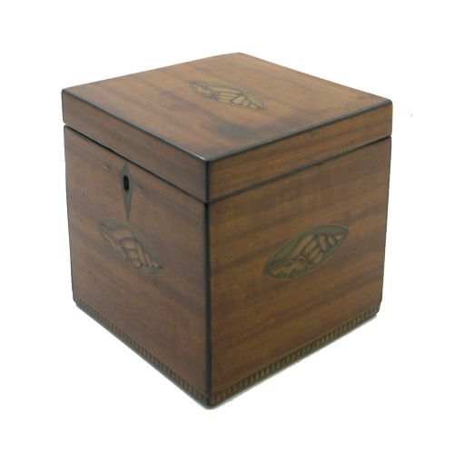 George III Shell Inlaid Satinwood Tea Caddy (1 of 6) George III Shell Inlaid Satinwood Tea Caddy (1 of 6)