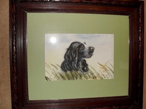 Pair of Watercolours Spaniels by Janet Fraser c.1900 (1 of 1)