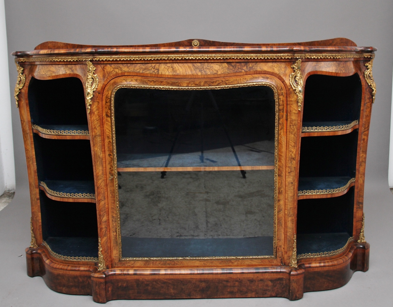 19th Century Burr Walnut Credenza (1 of 20)