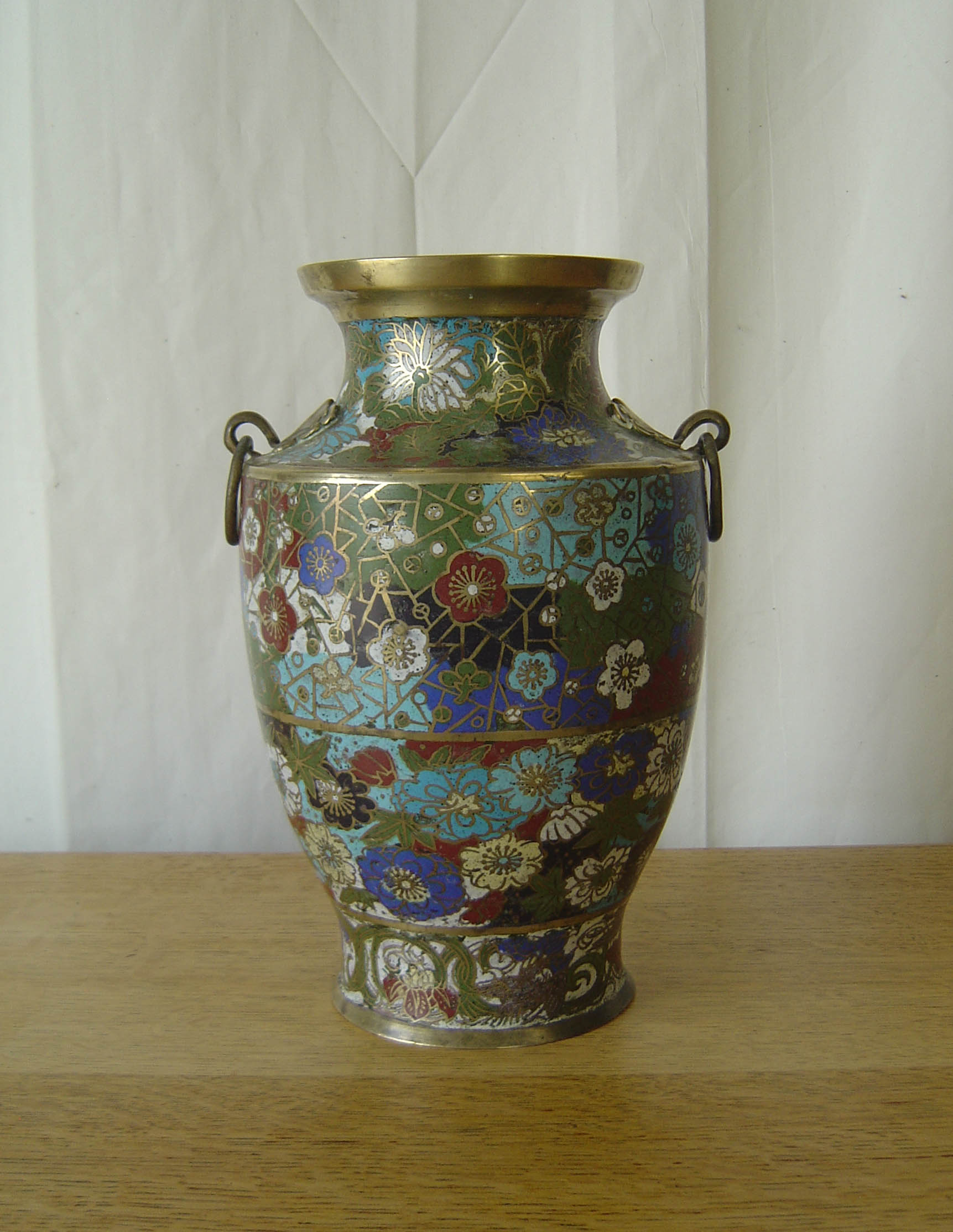 19th Century Chinese Cloisonne Vase (1 of 1)