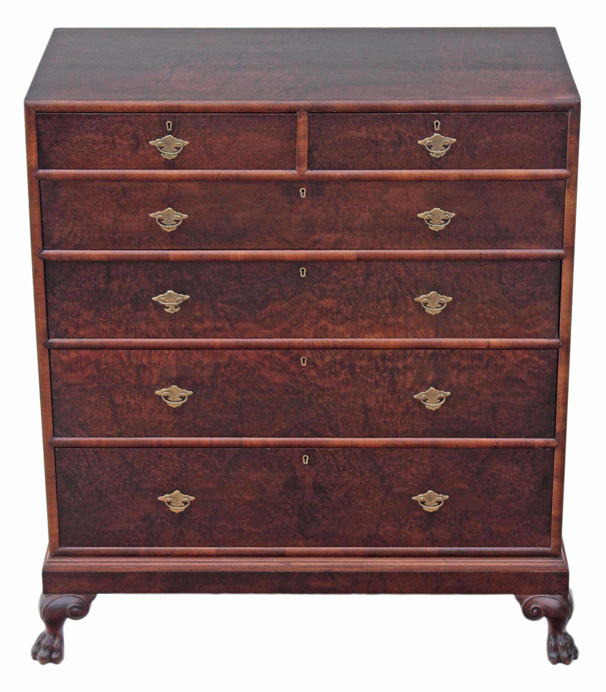 Antique Tall Georgian Revival Burr Walnut Mulberry Chest of Drawers (1 of 1) Antique Tall Georgian Revival Burr Walnut Mulberry Chest of Drawers (1 of 1)