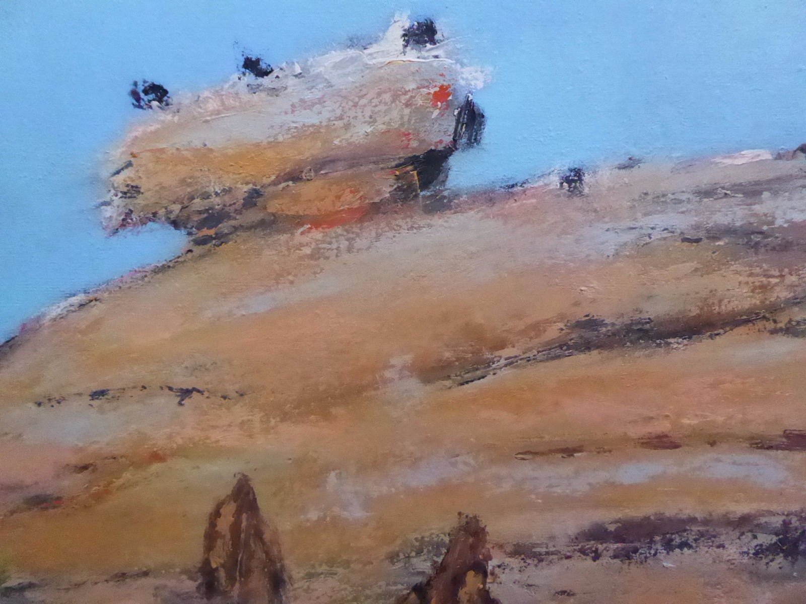Oil on Canvas the Outback Listed Irish Artist Niamh Collins (1 of 12)