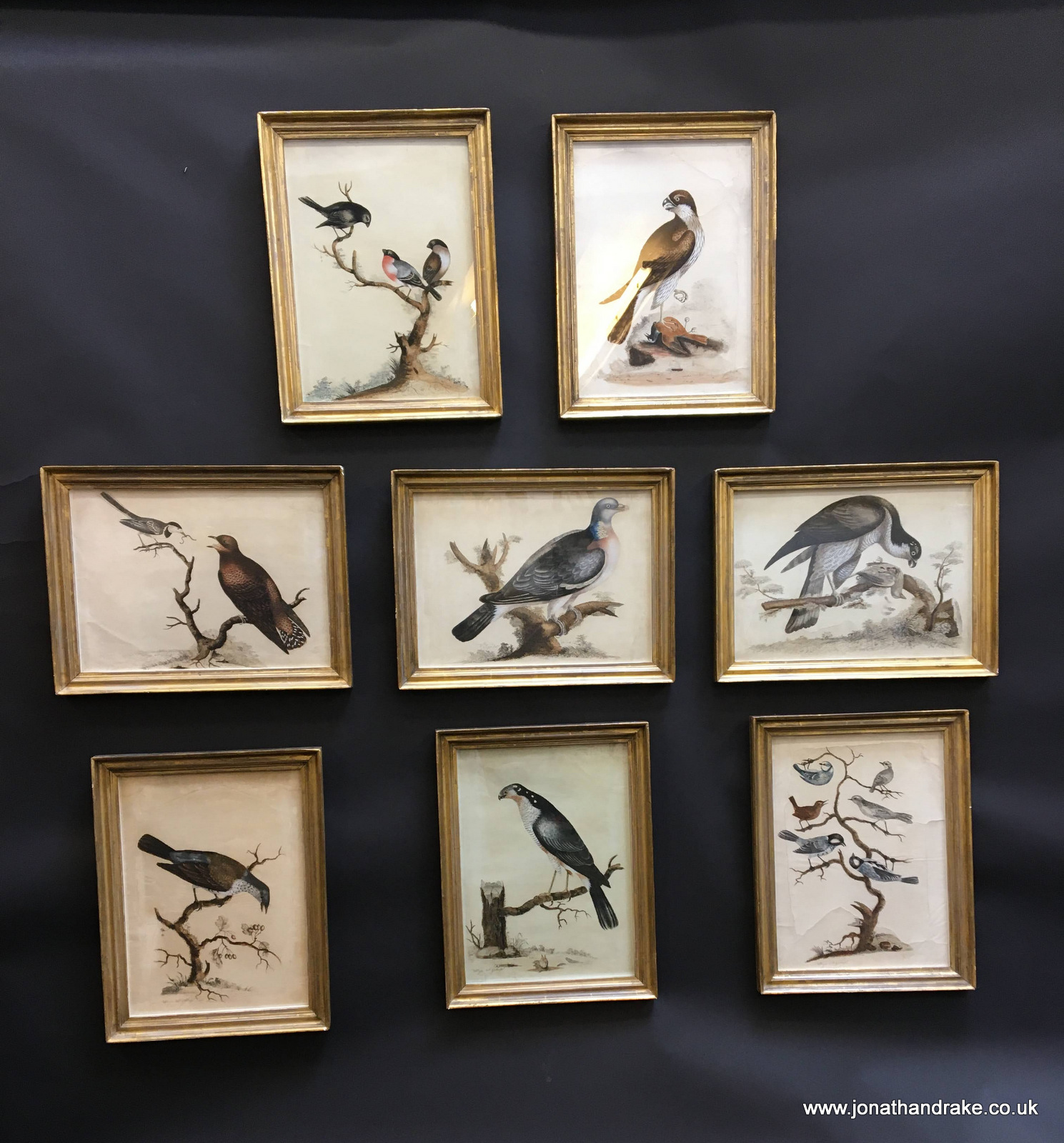 Set of 18th Century Ornithological Engravings (1 of 38) Set of 18th Century Ornithological Engravings (1 of 38)