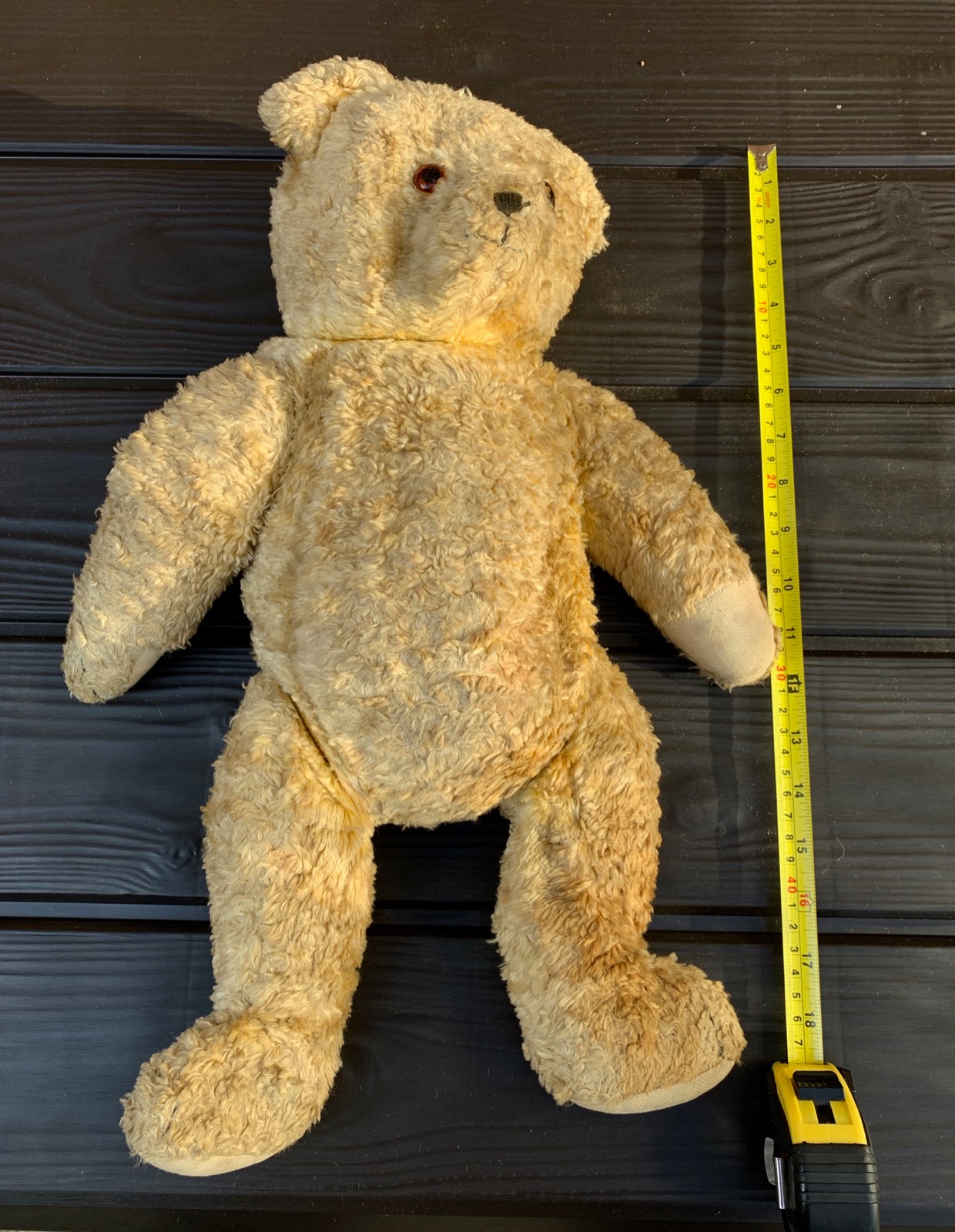 medium sized teddy bear