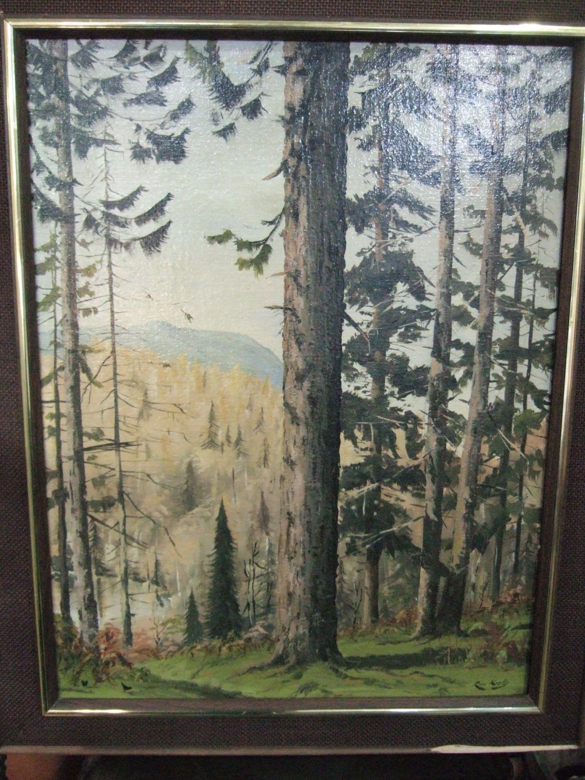 Roy Kraty OBE Pines in Cumbria Near Tarn Hows (1 of 4)