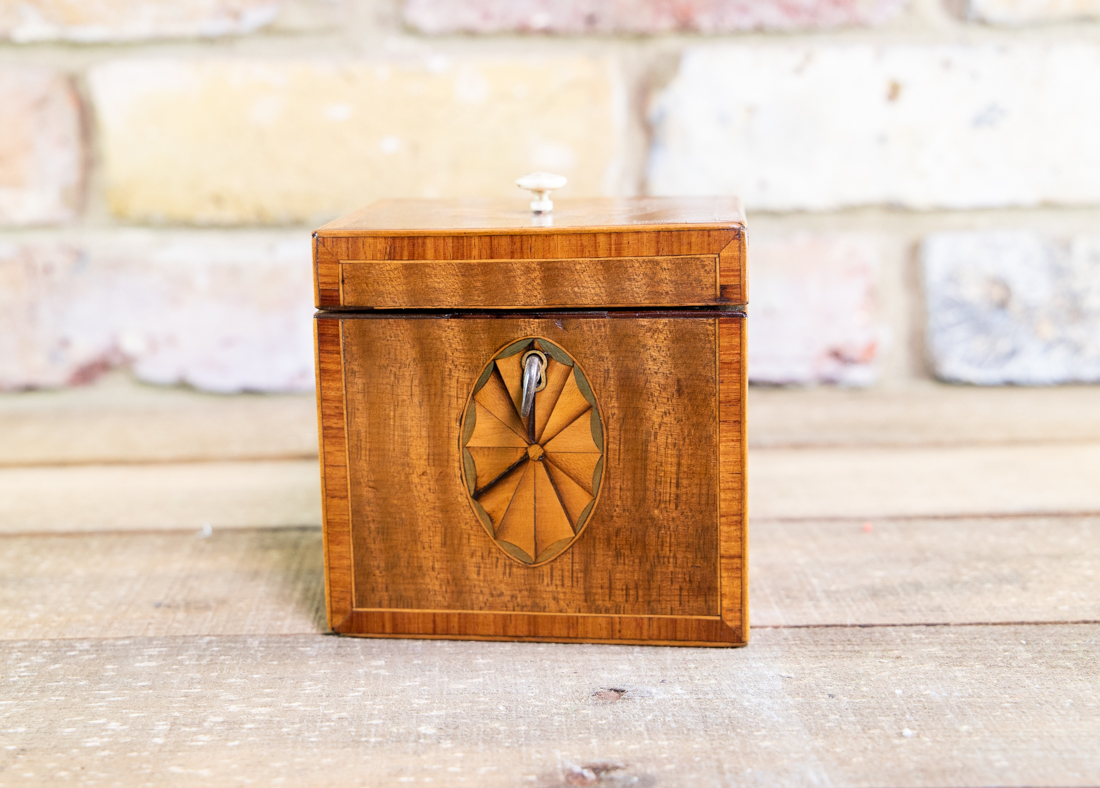 Rare Harewood Single Tea Caddy c.1790 (1 of 7)