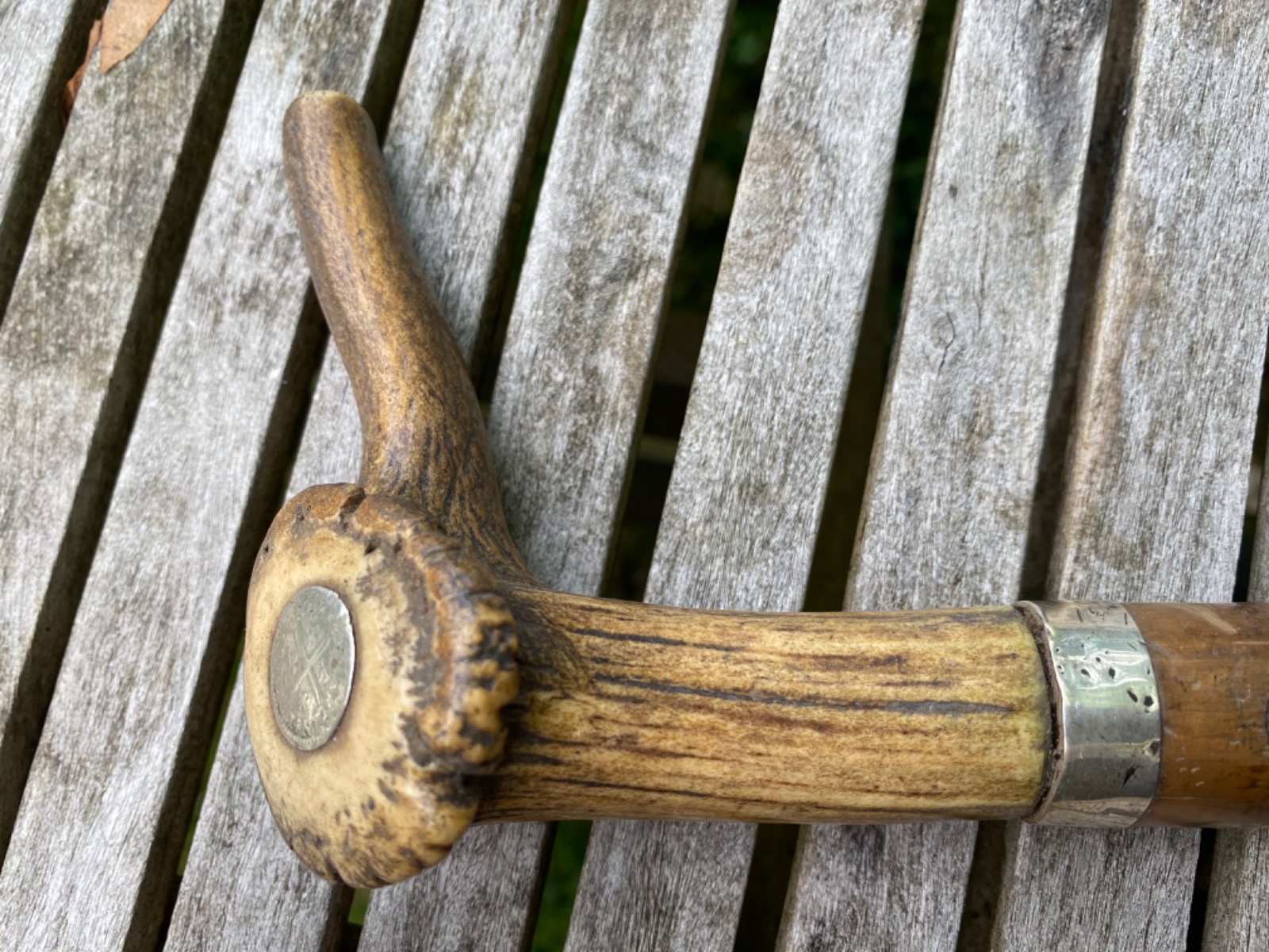 Horn Mounted Silver Collared Malacca Walking Stick (1 of 8)