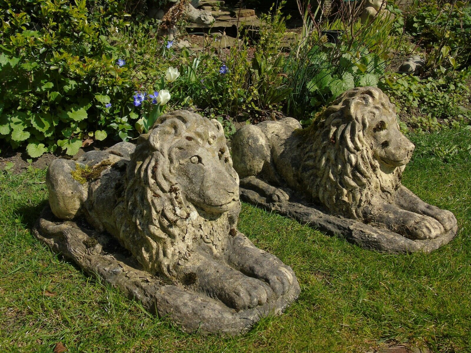 Good Pair of Recumbent Lion Stone Garden Ornaments (1 of 1) Good Pair of Recumbent Lion Stone Garden Ornaments (1 of 1)