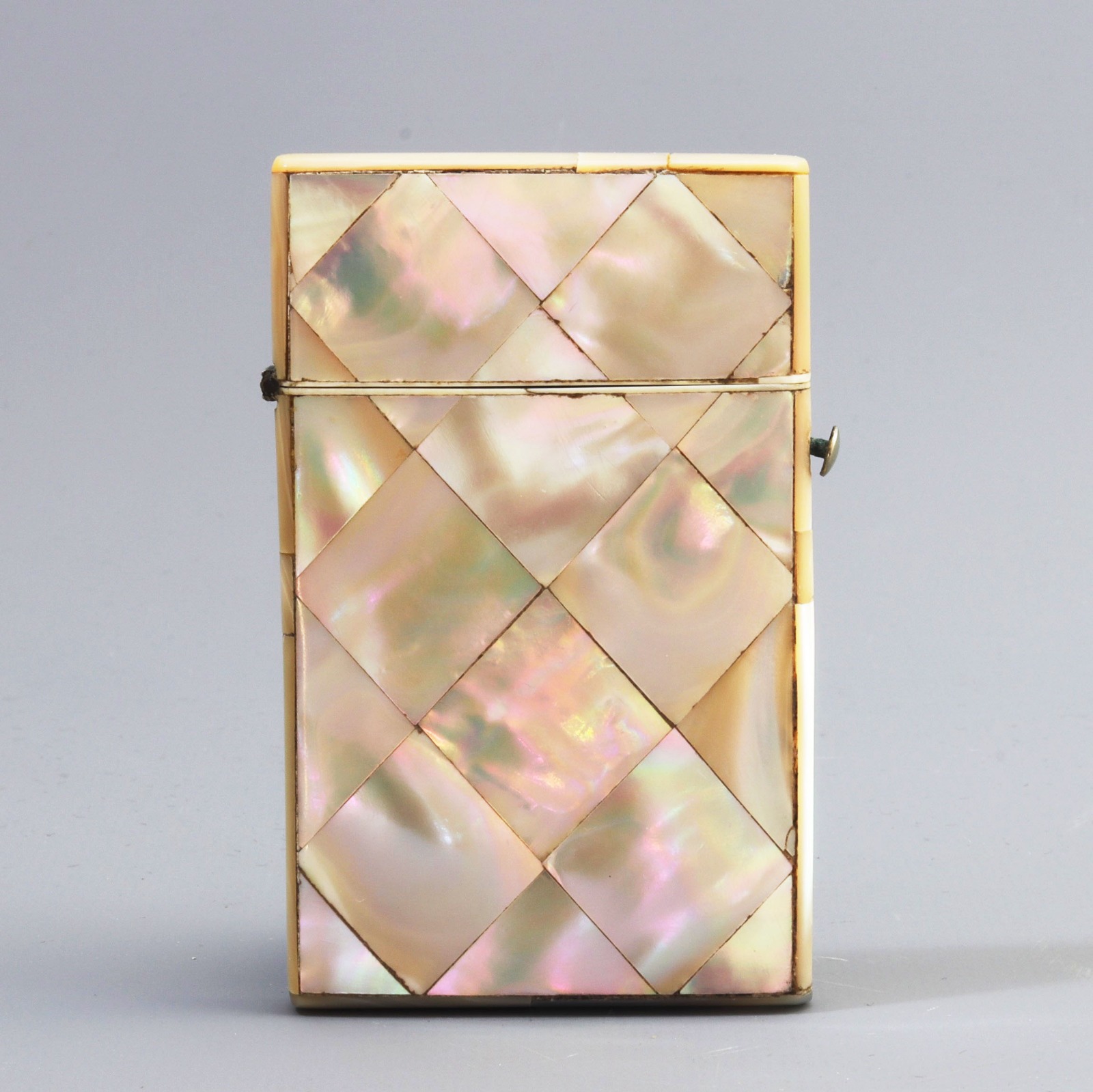 Victorian Mother of Pearl Calling Card Case (1 of 7)