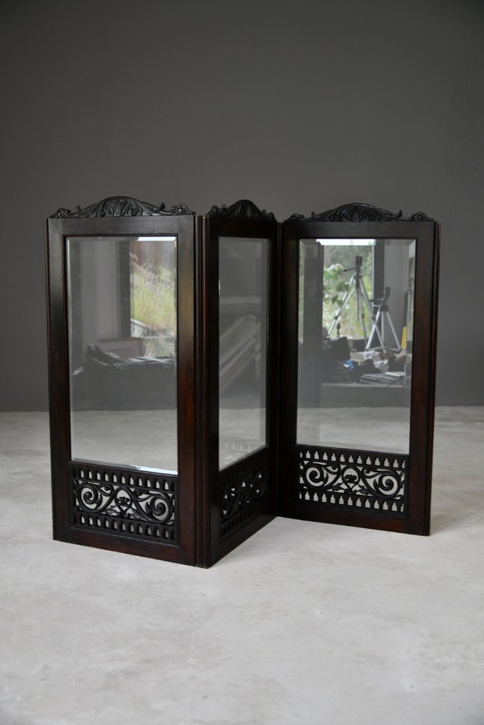 Antique Mahogany Glazed Screen (1 of 12)