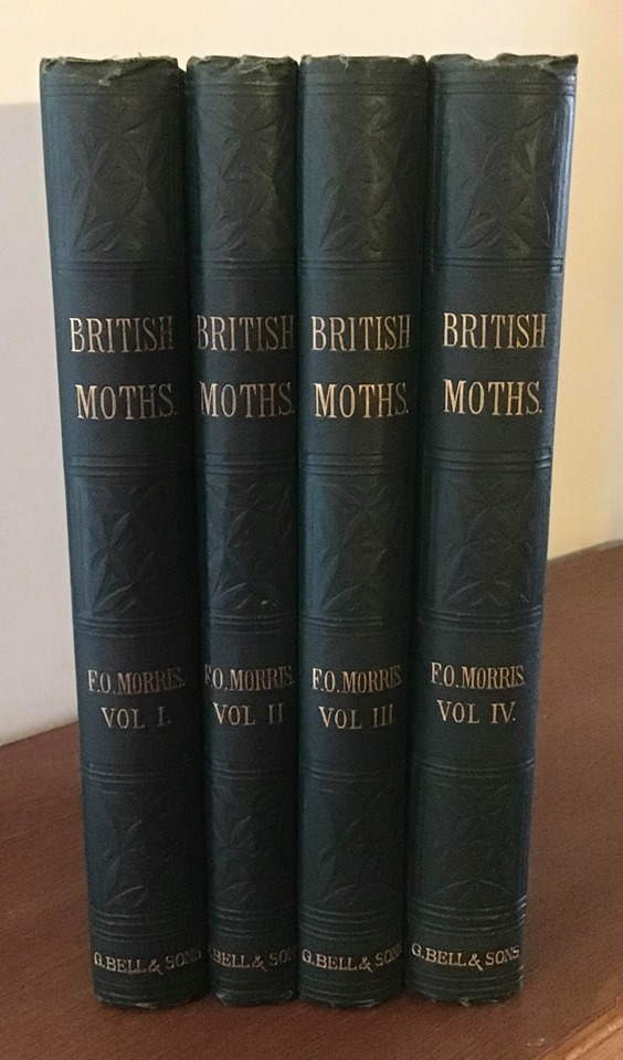 1872 a Natural History of British Moths by F. O. Morris, 1St Edition (1 of 1) 1872 a Natural History of British Moths by F. O. Morris, 1St Edition (1 of 1)