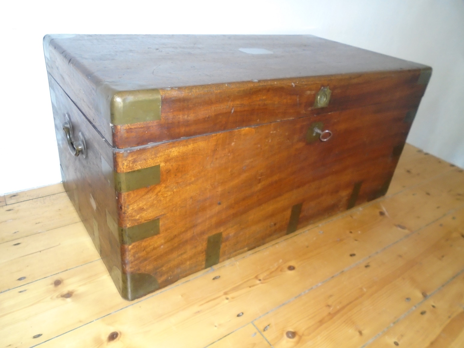 19th Century Camphor Wood Trunk (1 of 1) 19th Century Camphor Wood Trunk (1 of 1)