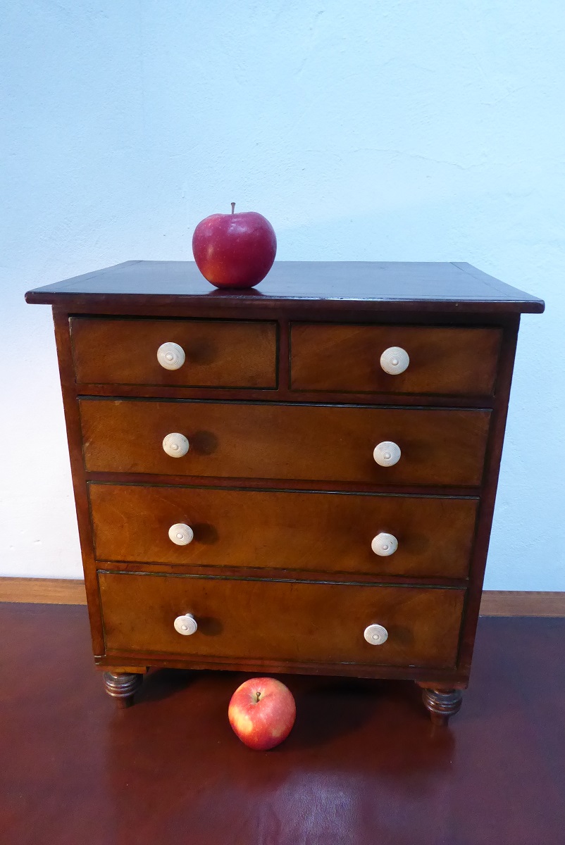 Regency Miniature Chest of Drawers (1 of 1) Regency Miniature Chest of Drawers (1 of 1)