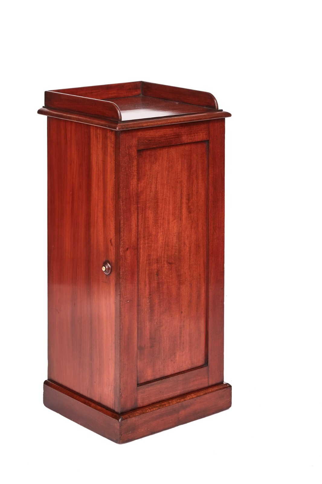 Victorian Mahogany Pedestal Cupboard (1 of 4)