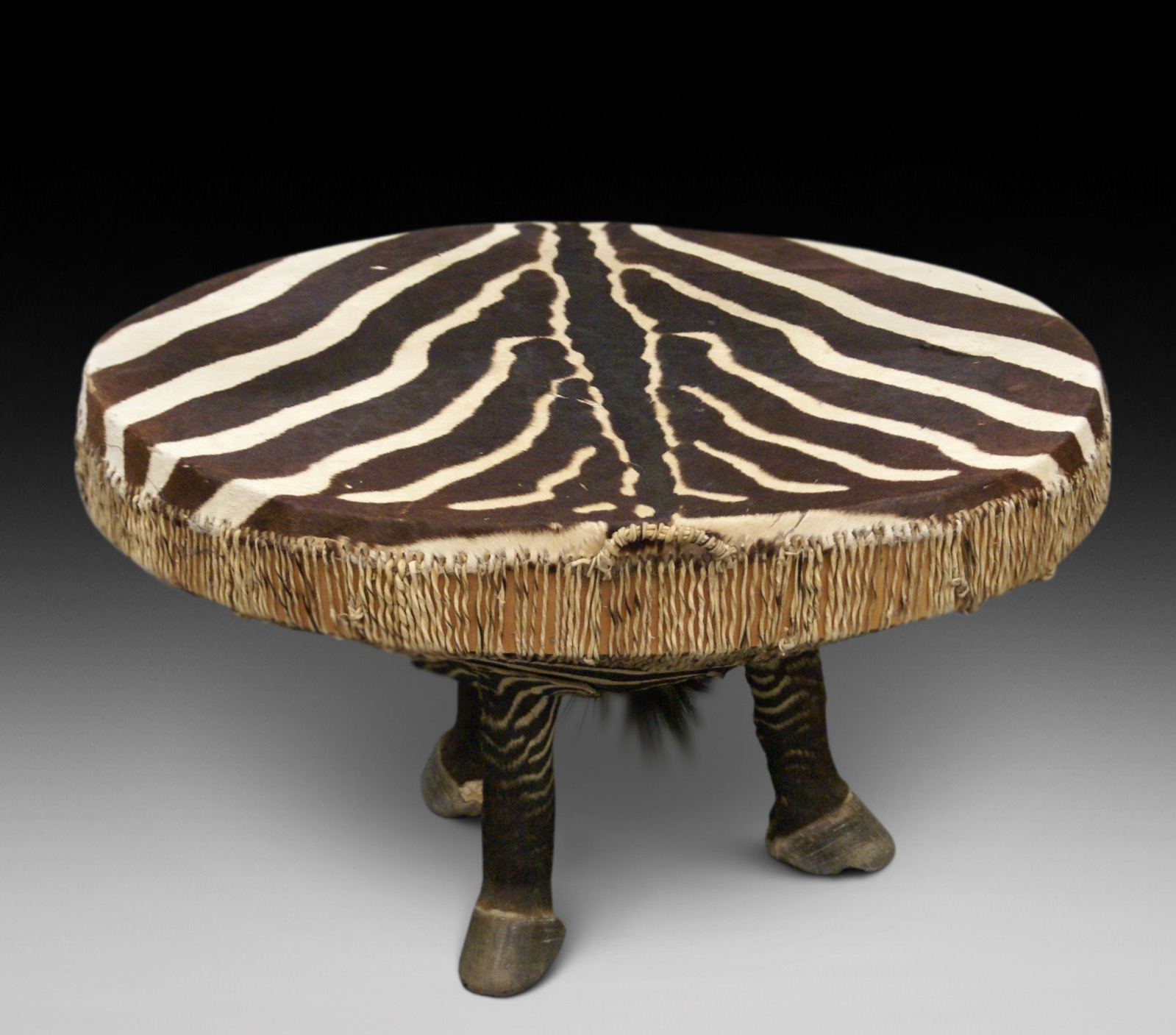 Zebra Tripode Coffee Table (1 of 6)