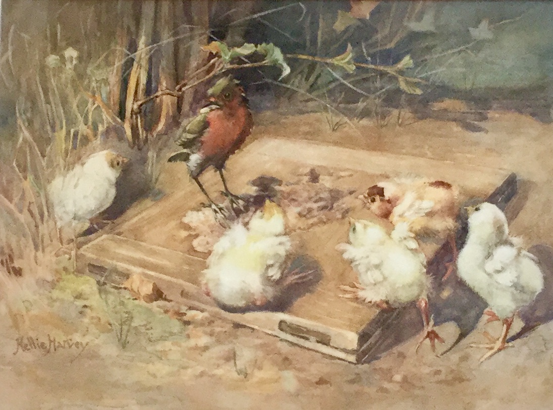 Nellie Harvey Watercolour 'Stealing the Chicks Meal' (1 of 2) Nellie Harvey Watercolour 'Stealing the Chicks Meal' (1 of 2)