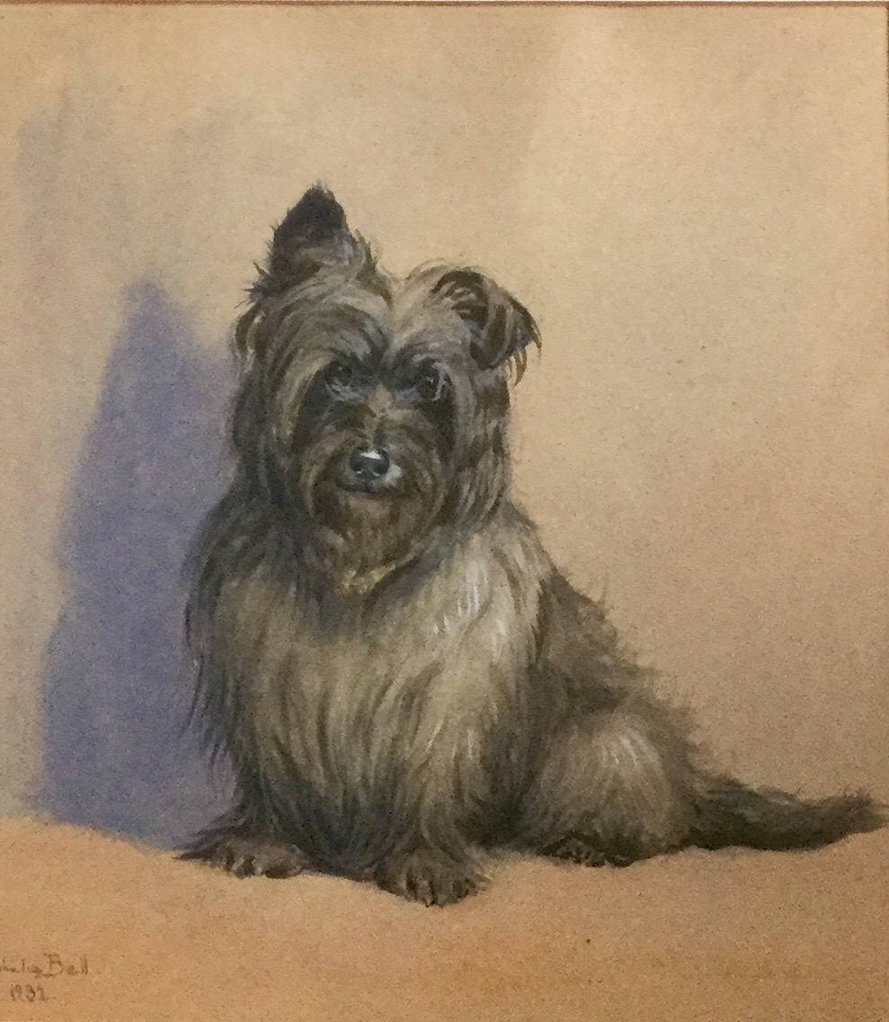 Winifred Joan Ophelia Gordon Bell Pastel - Cairn Terrier (1 of 3)