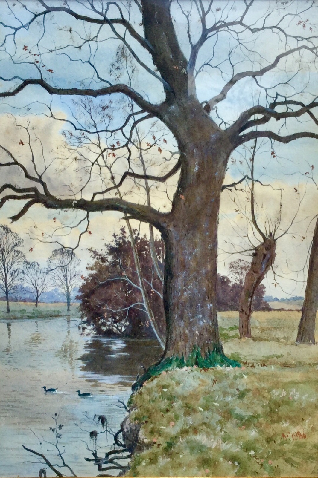 Arthur Anderson Fraser Watercolour ‘Oak at the Island Meadows Near Bromham Hall’ (1 of 1) Arthur Anderson Fraser Watercolour ‘Oak at the Island Meadows Near Bromham Hall’ (1 of 1)
