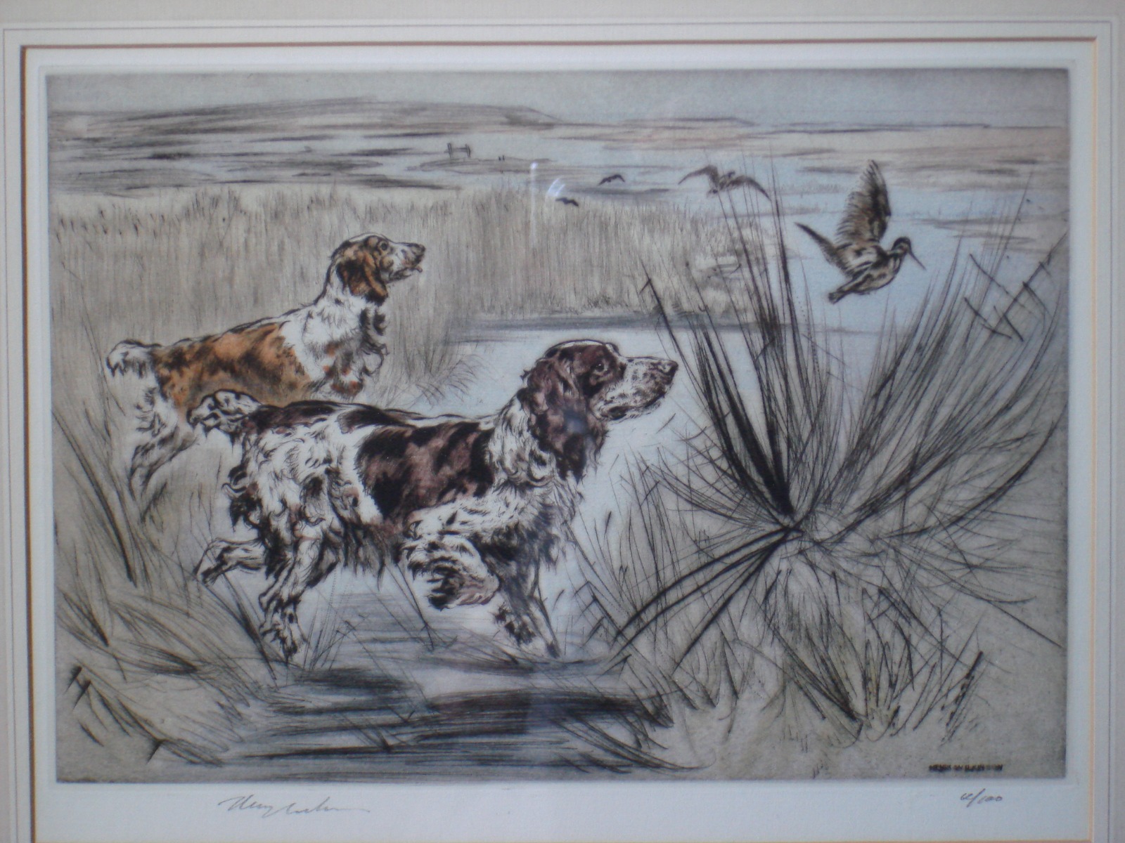 Coloured Etching - Retrievers at Work - Henry Wilkinson (1 of 1)