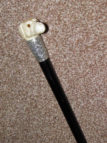 Edwardian J.Howell Hallmarked 1902 Silver Lurcher Dogs Head Walking Stick / Cane (1 of 14)