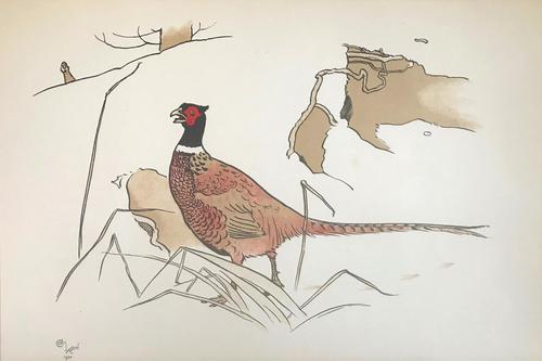 3 Original Chromolithographs by Cecil Aldin 1870-1935 of Pheasants & Foxes, Signed or Initialled 1900 (1 of 3) 3 Original Chromolithographs by Cecil Aldin 1870-1935 of Pheasants & Foxes, Signed or Initialled 1900 (1 of 3)
