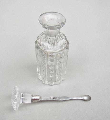 William IV Silver Cayenne Pepper Spoon with Glass Bottle by Henry Manton, Birmingham 1837 (1 of 9)