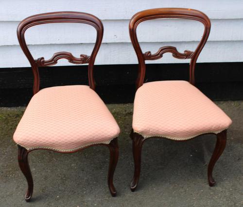 1900s Pair of Mahogany Cab Leg Chairs Pale Pink Upholstery (1 of 4) 1900s Pair of Mahogany Cab Leg Chairs Pale Pink Upholstery (1 of 4)