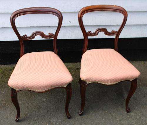 1900s Pair of Mahogany Cab Leg Chairs Pale Pink Upholstery (1 of 4)