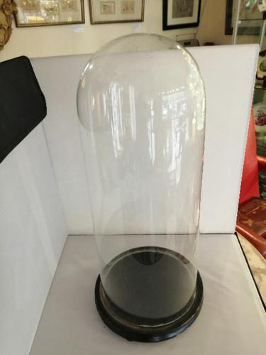 Early 20th Century English Glass Dome (1 of 2) Early 20th Century English Glass Dome (1 of 2)