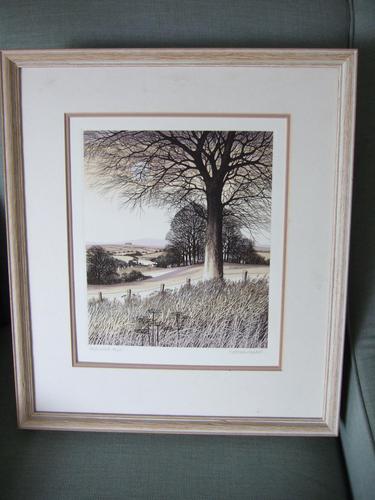 Kathleen Caddick Limited Edition Etching 'Beechwood' (1 of 6) Kathleen Caddick Limited Edition Etching 'Beechwood' (1 of 6)