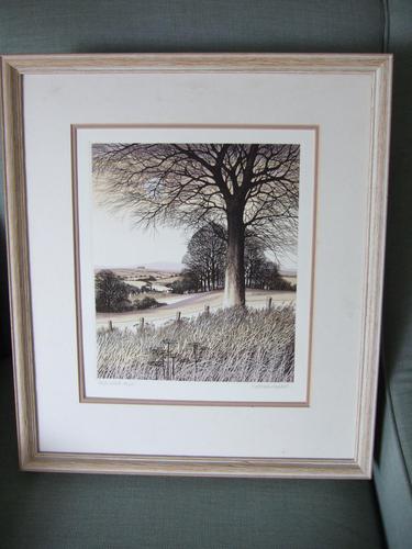 Kathleen Caddick Limited Edition Etching 'Beechwood' (1 of 6)