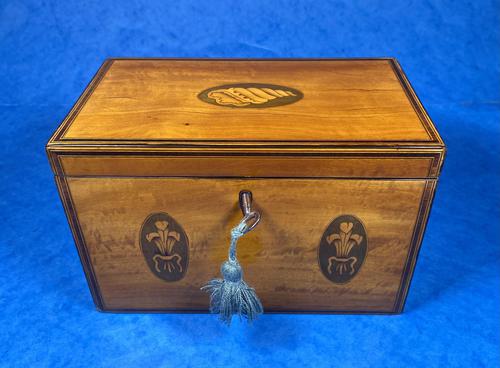 George III Satinwood Twin Tea Caddy with Prince of Wales Inlay (1 of 15)