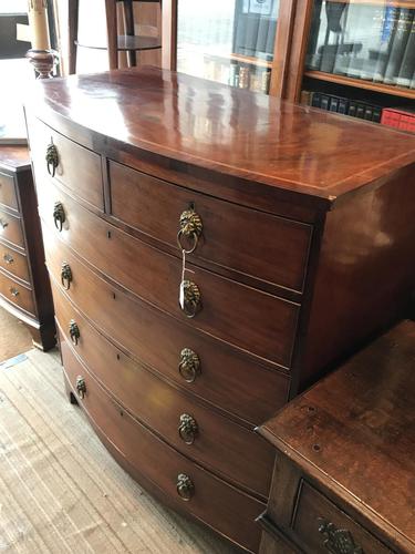 Early 19th Century Mahogany Bow Front 6 Drawer Chest of Drawers (1 of 10)