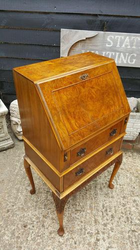 Lovely Antique Design Burr Walnut Bureau (1 of 9)