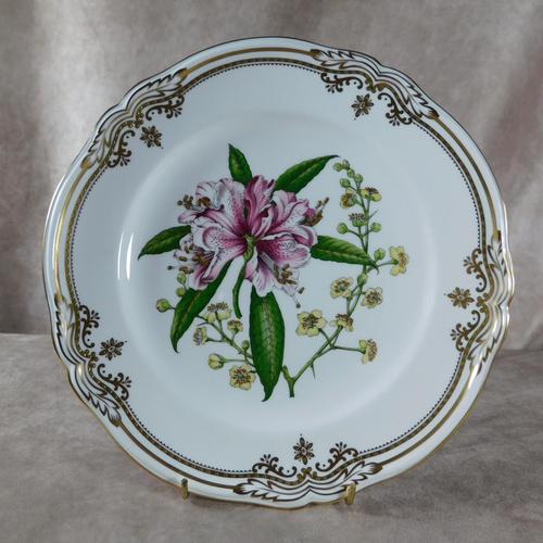 Stafford Flowers Pattern Plate by Spode (1 of 4)