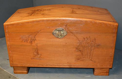Camphor Wood Trunk (1 of 6) Camphor Wood Trunk (1 of 6)