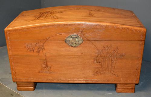 Camphor Wood Trunk (1 of 6)