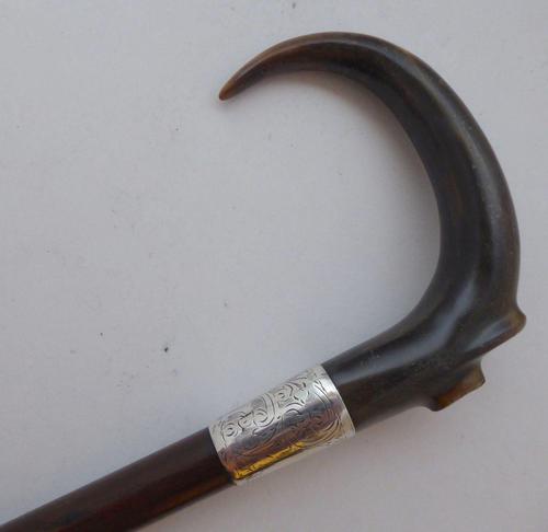 Edwardian Walking Stick Cane 1910 Solid Silver Collar Rosewood Shaft (1 of 8)